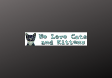We Love Cats & Kittens